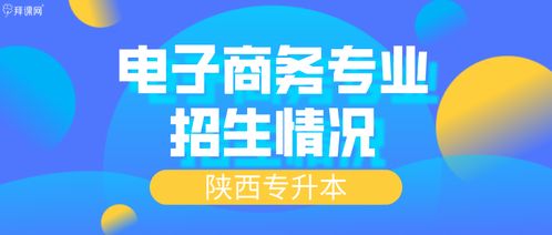 电子商务专科专业升本科