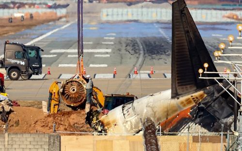 韩国空难客机发动机内发现羽毛