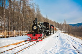 东北零下二十几度，公交车里的雪景奇观