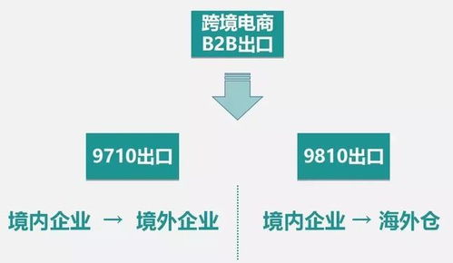 电子商务跨什么专业