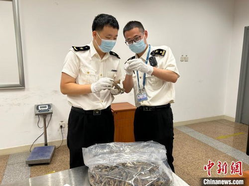 旅客携带大量血液样本入境被查获