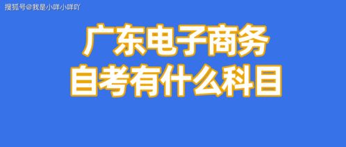 广州自考电子商务专业