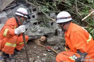 四川山体滑坡灾害频发，1人遇难28人失联，救援行动紧急展开