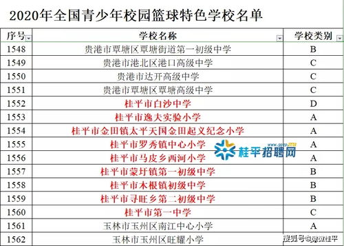 提升青少年体质，代表建议中小学每天安排2小时体育活动时间——构建健康校园新蓝图