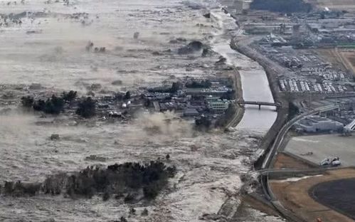 张本智和双手合十纪念东日本大地震