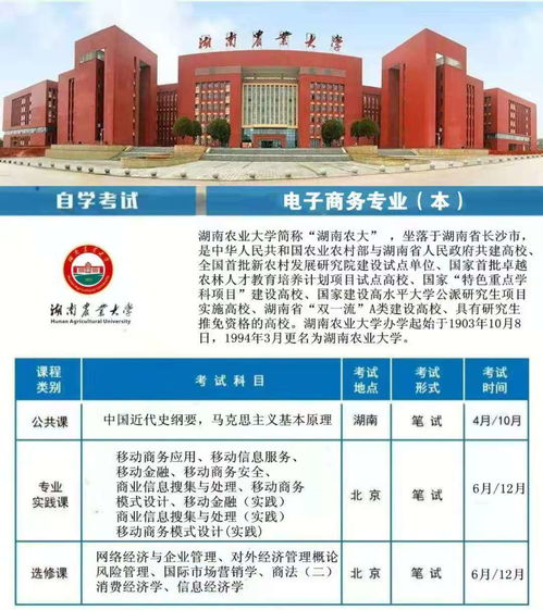 电子商务专业单招院校