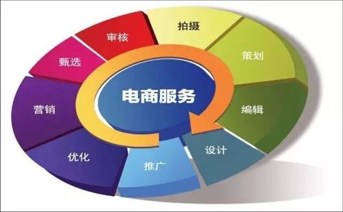 电子商务是什么院系专业