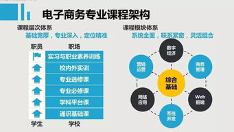 电子商务技术专业的岗位