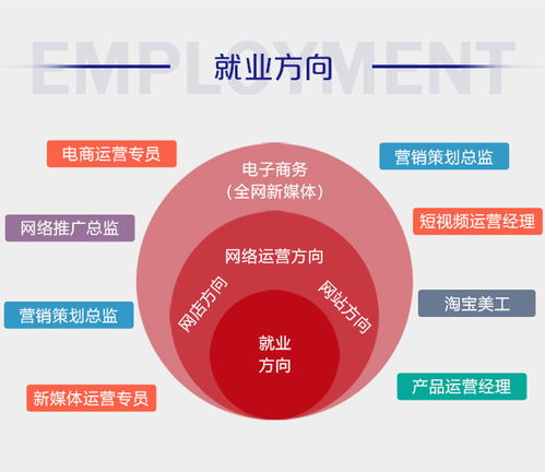 电子商务专业应如何就业