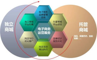 电子商务有哪些类型专业