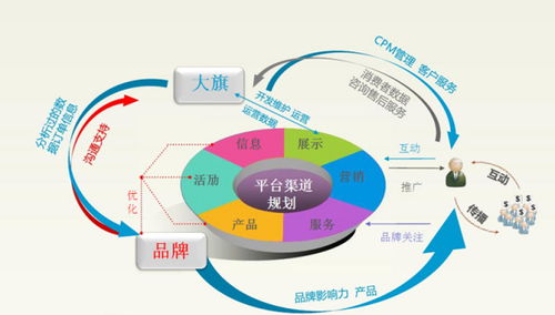 电子商务专业从事的岗位