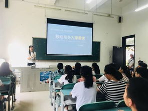 开电子商务专业的大学