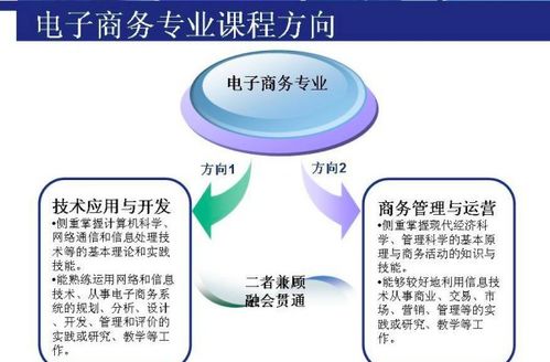 电子商务专业方向有哪些