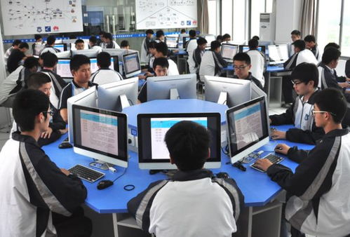 电子商务专业不成熟
