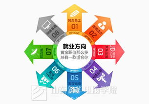 你填报的专业电子商务