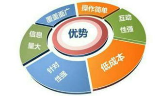 电子商务与网络营销专业