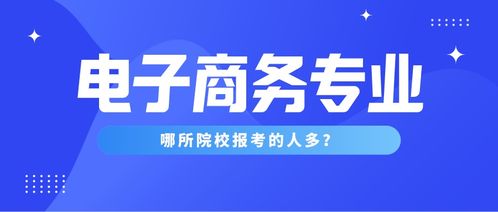 电子商务的专升本专业课